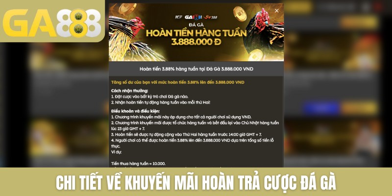Khuyến mãi hoàn tiền cược GA888 thưởng lớn hàng ngày - Zenlucky89