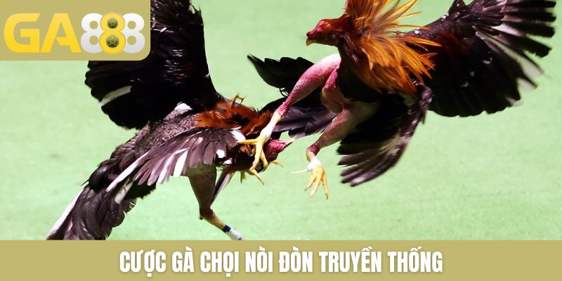 Đá gà GA888 trực tiếp gà chọi mới nhất bên Thomo mỗi ngày - Zenlucky89