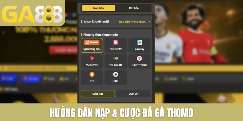 Nạp & Cược Đá Gà Thomo Cực Đơn Giản Và Lưu Ý Cần Nắm Rõ 2026 - Zenlucky89