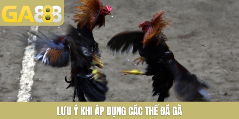 Thế Đá Gà Là Gì Và Có Những Kỹ Thuật Đá Chọi Nào Phổ Biến 2026 - Zenlucky89