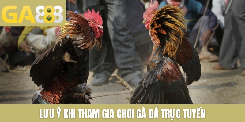 Nạp & Cược Đá Gà Thomo Cực Đơn Giản Và Lưu Ý Cần Nắm Rõ 2026 - Zenlucky89