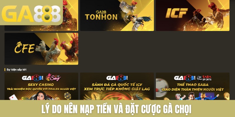 Nạp & Cược Đá Gà Thomo Cực Đơn Giản Và Lưu Ý Cần Nắm Rõ 2026 - Zenlucky89