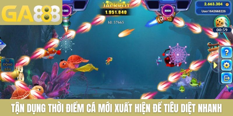 Cách Bắn Cá Luôn Thắng Giúp Bạn Tăng Tỷ Lệ Trúng Lớn 2026 - Zenlucky89