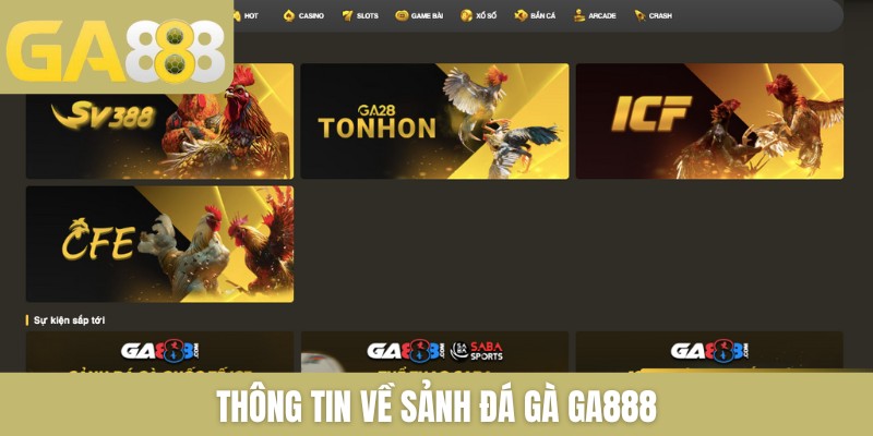 Đá gà GA888 trực tiếp gà chọi mới nhất bên Thomo mỗi ngày - Zenlucky89